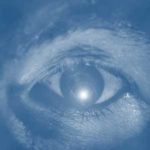 Maîtrisez la lumière pour mettre en valeur les sujets de vos photographies.