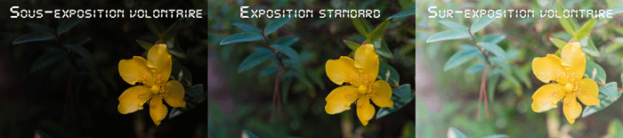 Fig. 2 - Trois expositions dans une ambiance d'éclairage standard Fig. 2 - Trois expositions dans une ambiance d'éclairage standard