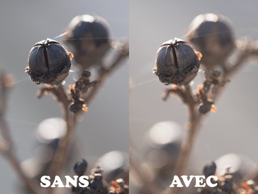 Illustration de l'usage du flash pour déboucher les ombres