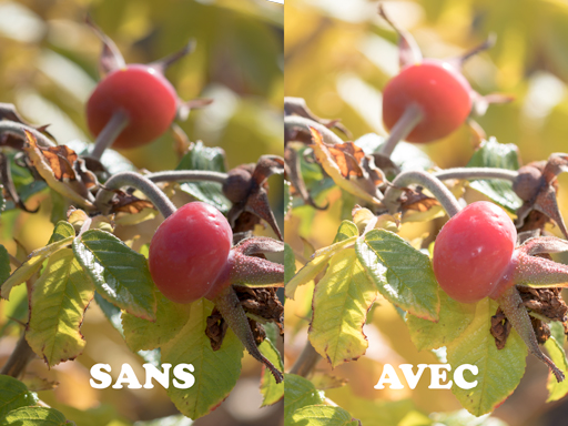 Illustration de l'usage du flash pour réduire les contrastes