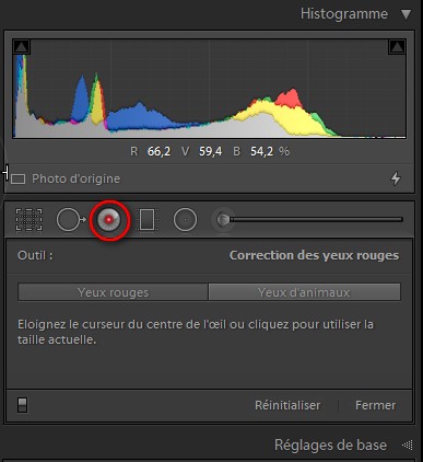 illustration de l'outil correction des yeux rouges de Lightroom.