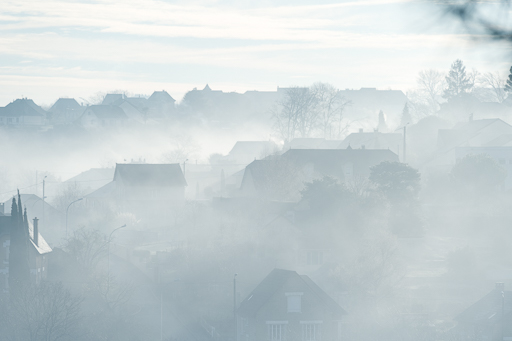 Illustration du type de photo que l'on peut obtenir en sortant par temps de brume quand les rayons du soleil percent.