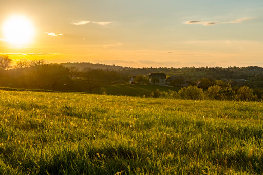 Prairie délicatement caressée par les doux rayons du soleil couchant