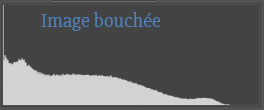 Représentation d'un histogramme calé sur la gauche caractéristique d'une image présentant des zones bouchées.
