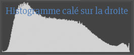 Représentation d'un histogramme optimisé et correctement calé sur la droite.