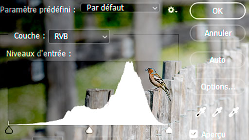 Illustration de l'article comprendre l'histogramme de vos photos