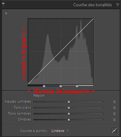 Description des axes de l'histogramme dans Lightroom