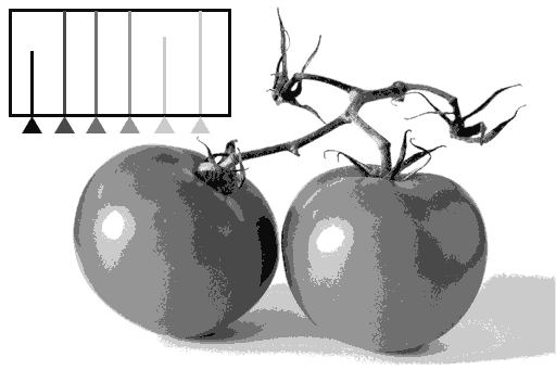 Représentation d'un histogramme pour une image composée de 8 tons de gris.