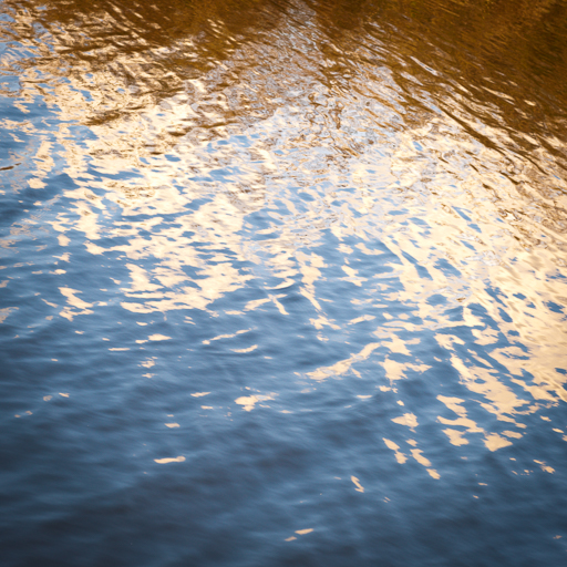 Mise en évidence des couleurs de l'automne dans le reflet de l'eau