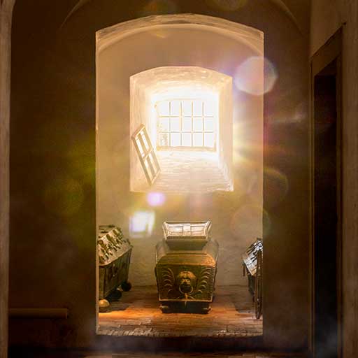 Exemple de lens-flare (halo) dans une photo