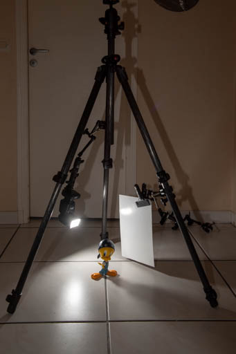 Utilisation des jambes d'un trépied comme support pour construire rapidement un mini studio pour la macro photographie.