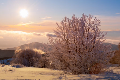 Illustration de l'article à propos des photographies de neige