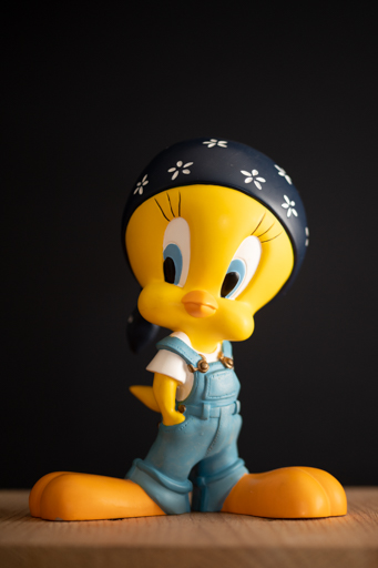 Exemple d'éclairage au flash cobra placé sur le sabot de l'appareil photo orienté vers la droite