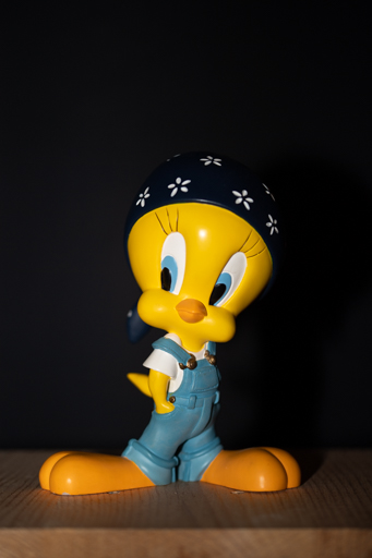Exemple d'éclairage au flash cobra placé sur le sabot de l'appareil photo orienté de face