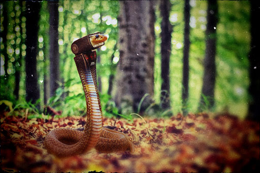 Illustration de l'article sur les avantages des flashes cobra