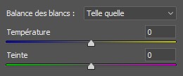 Outils de réglage de la balance des blancs de CameraRAW
