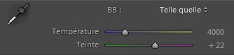 Outils de réglage de la balance des blancs de Lightroom