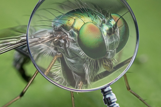 Illustration de l'article à propos de l'intégration d'objet transparent dans un photomontage